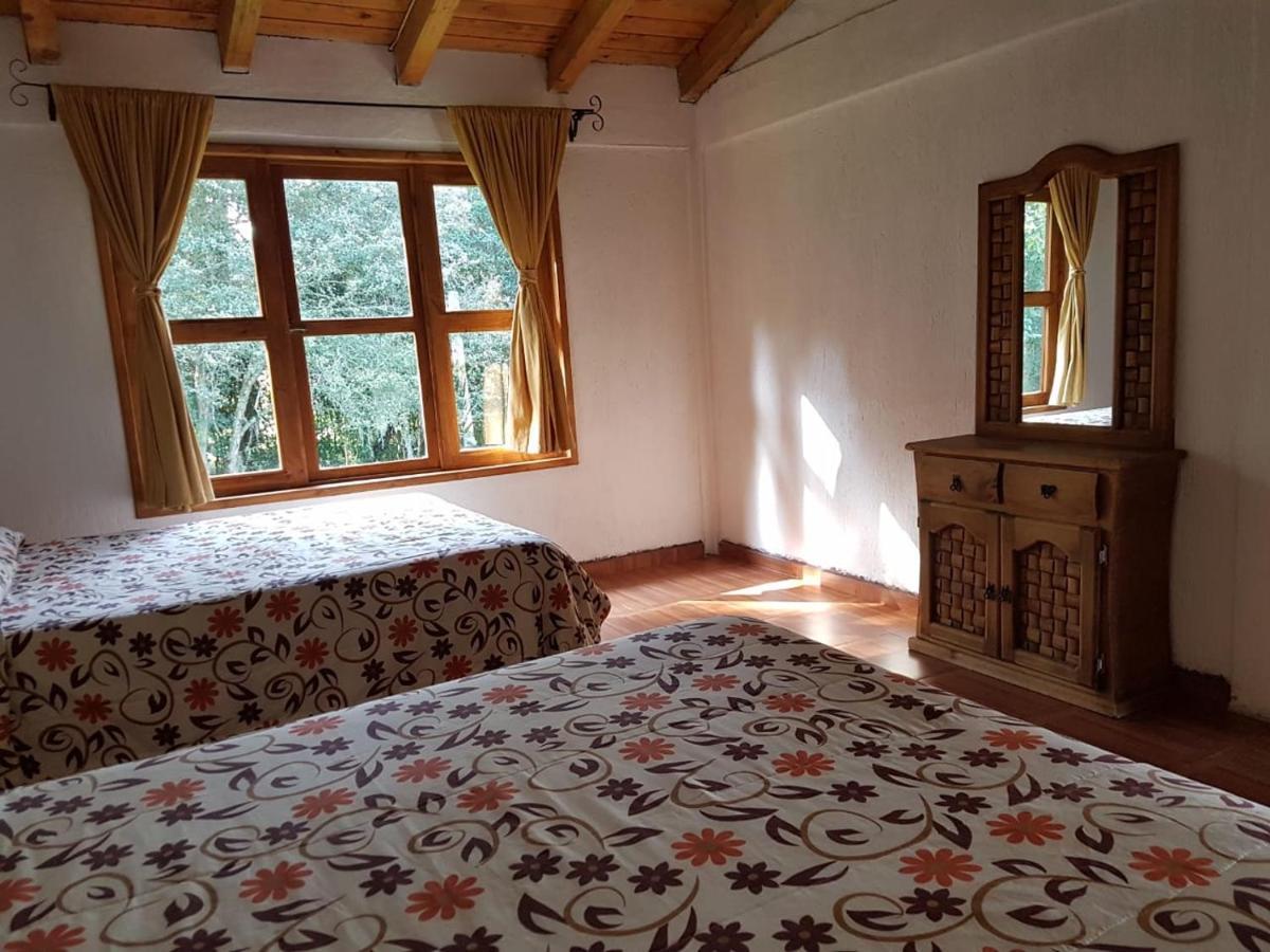 Cabanas Los Cactus 2 Уаска-де-Окампо Номер фото